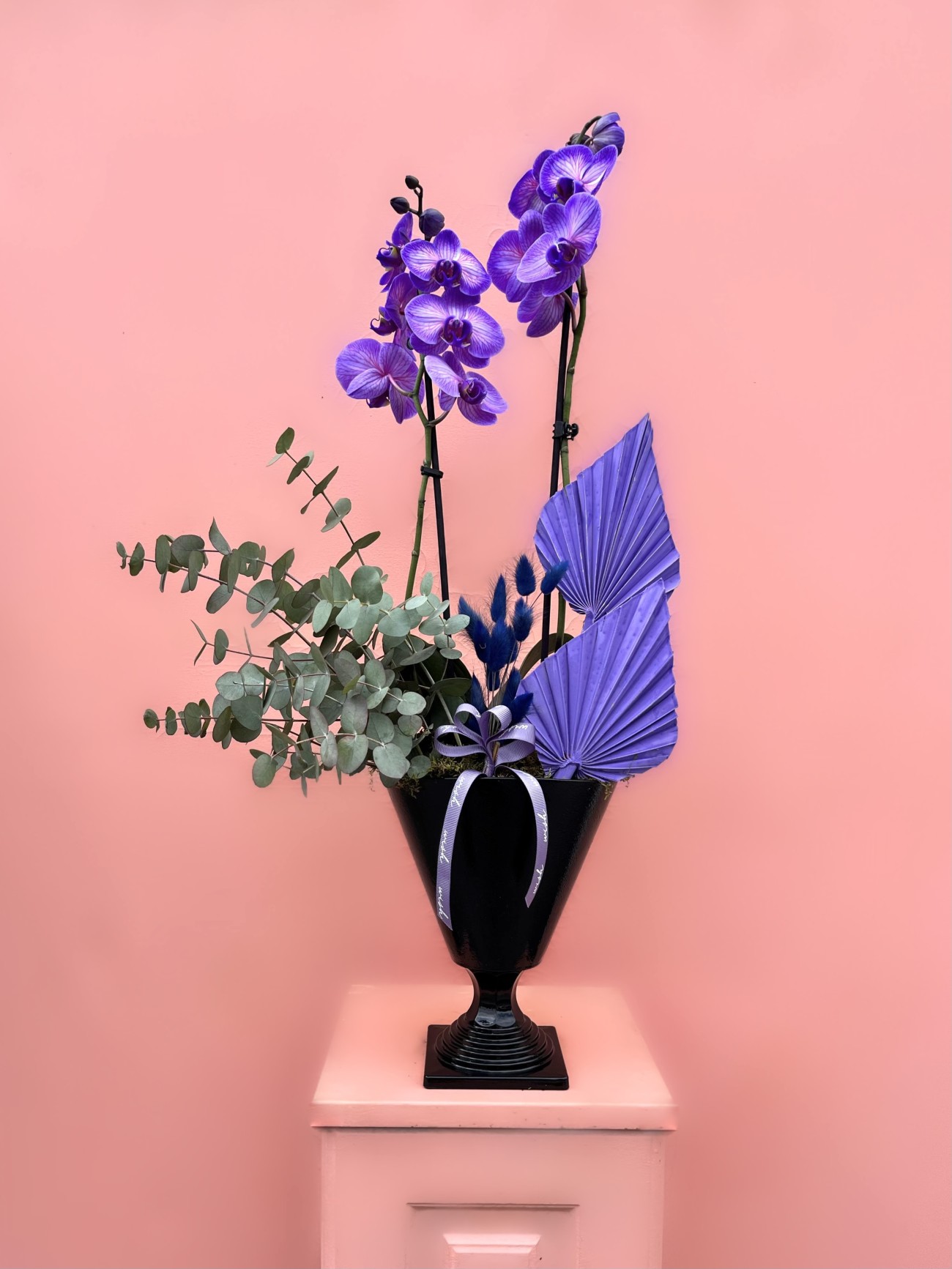 Özel Tür Wonder Purple Orkide
