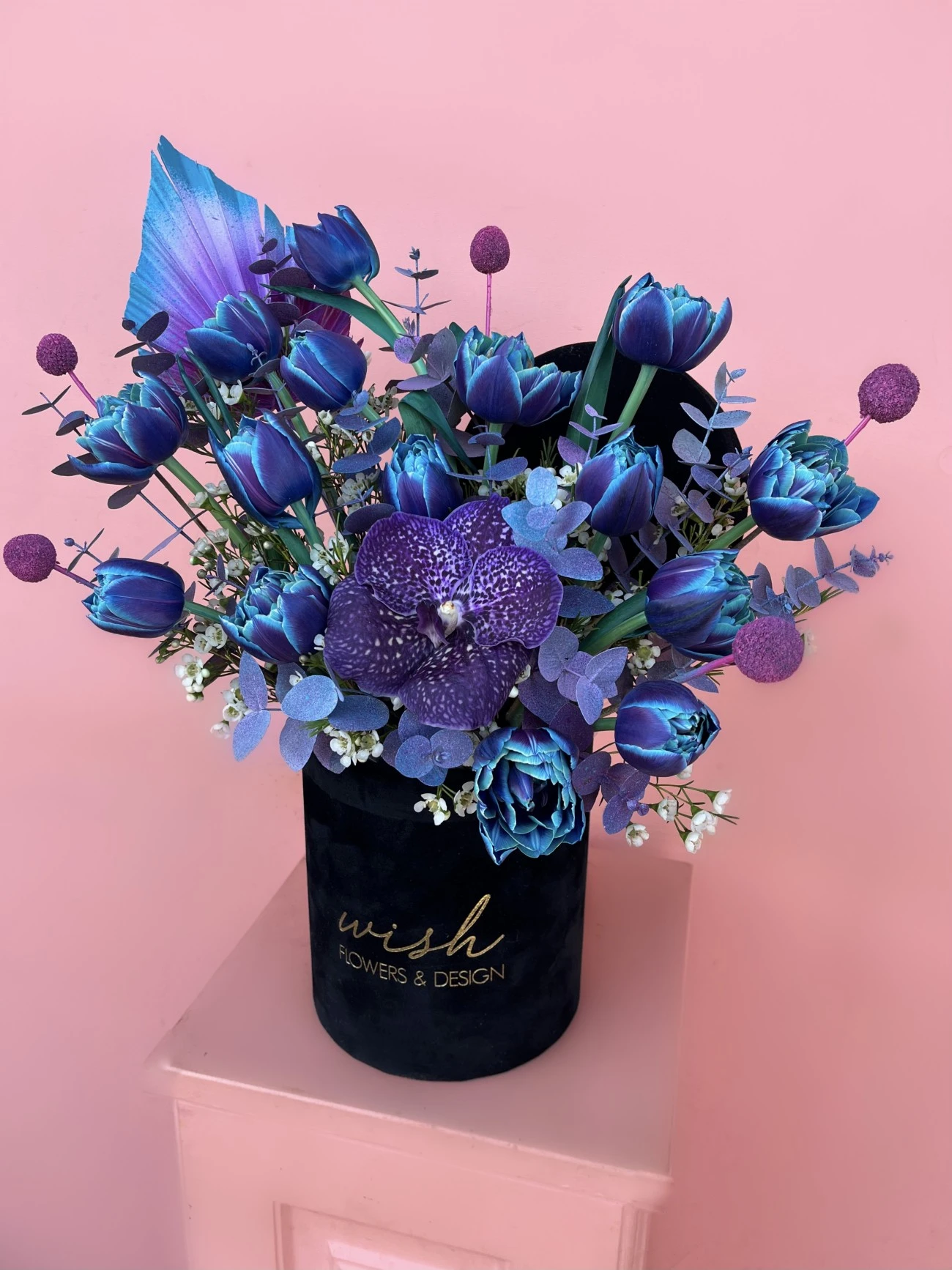 Siyah Kadife Kutuda Vip Blue Sky Laleler